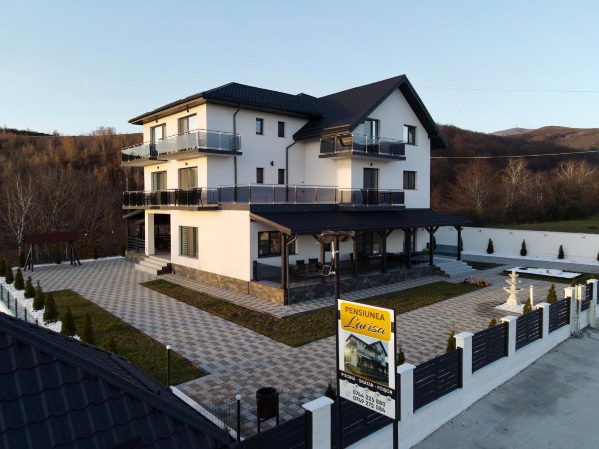 Casa De Vacanta Larisa Novaci-Străini 외부 사진