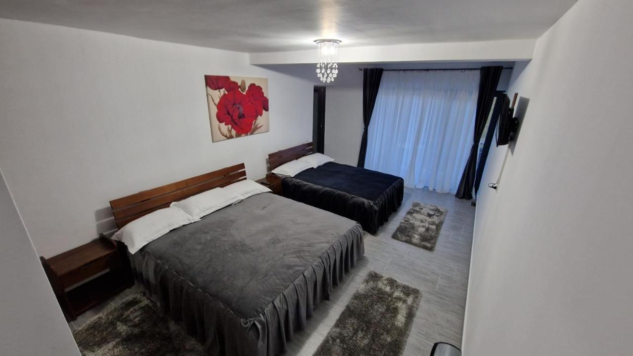 Casa De Vacanta Larisa Novaci-Străini 외부 사진