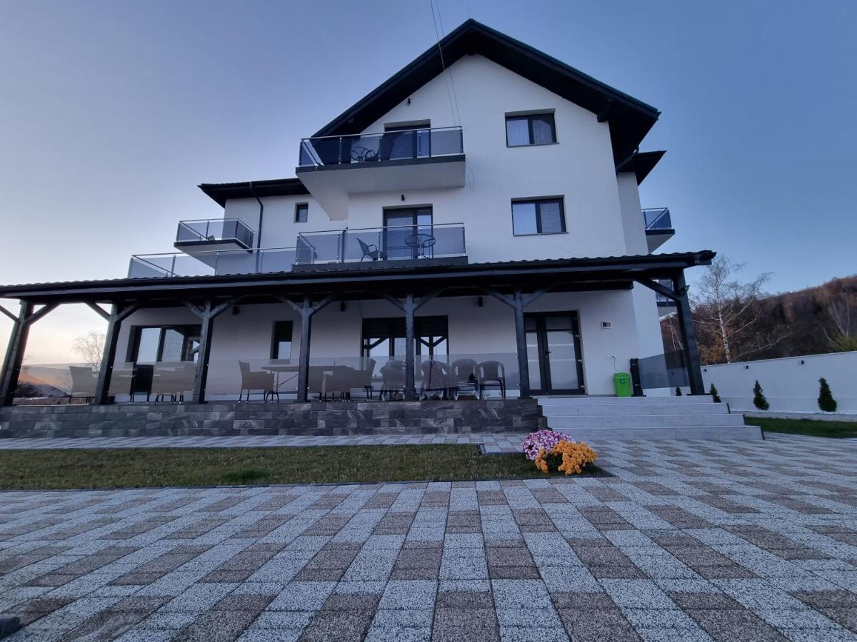 Casa De Vacanta Larisa Novaci-Străini 외부 사진